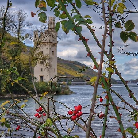Ferienwohnung Rheinblick Bingen am Rhein Luaran gambar